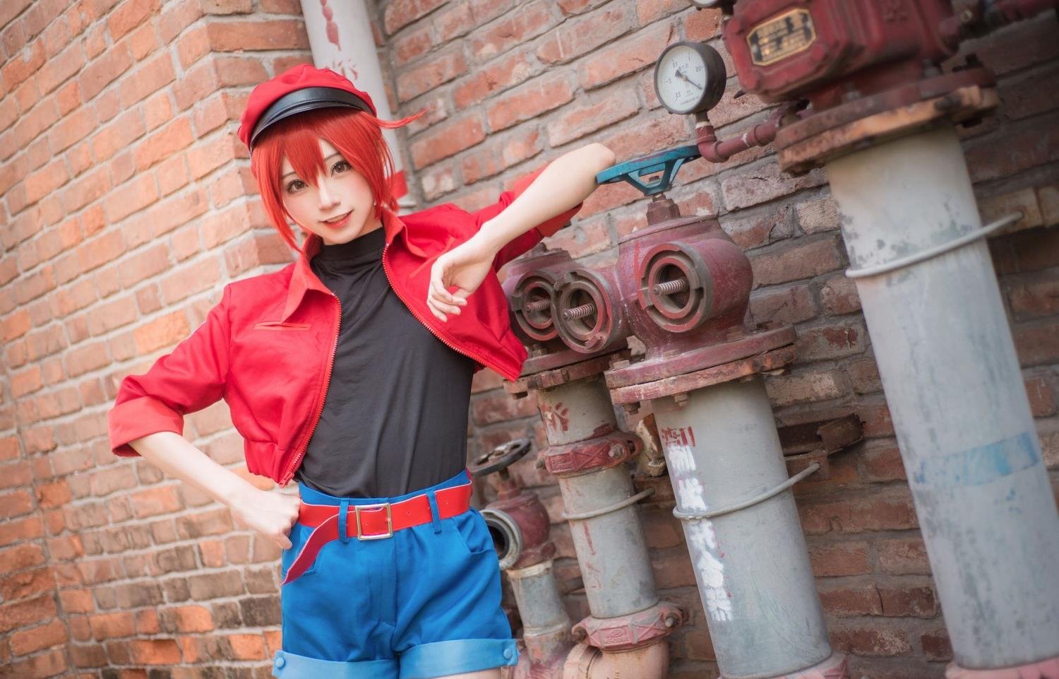 ����������������������