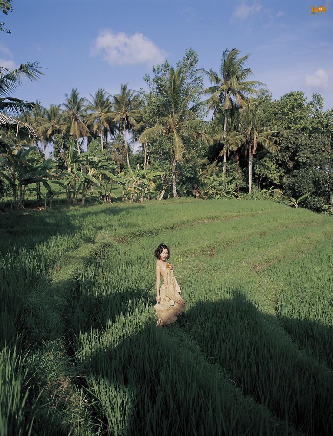 �����ַ��ֺ�ë����