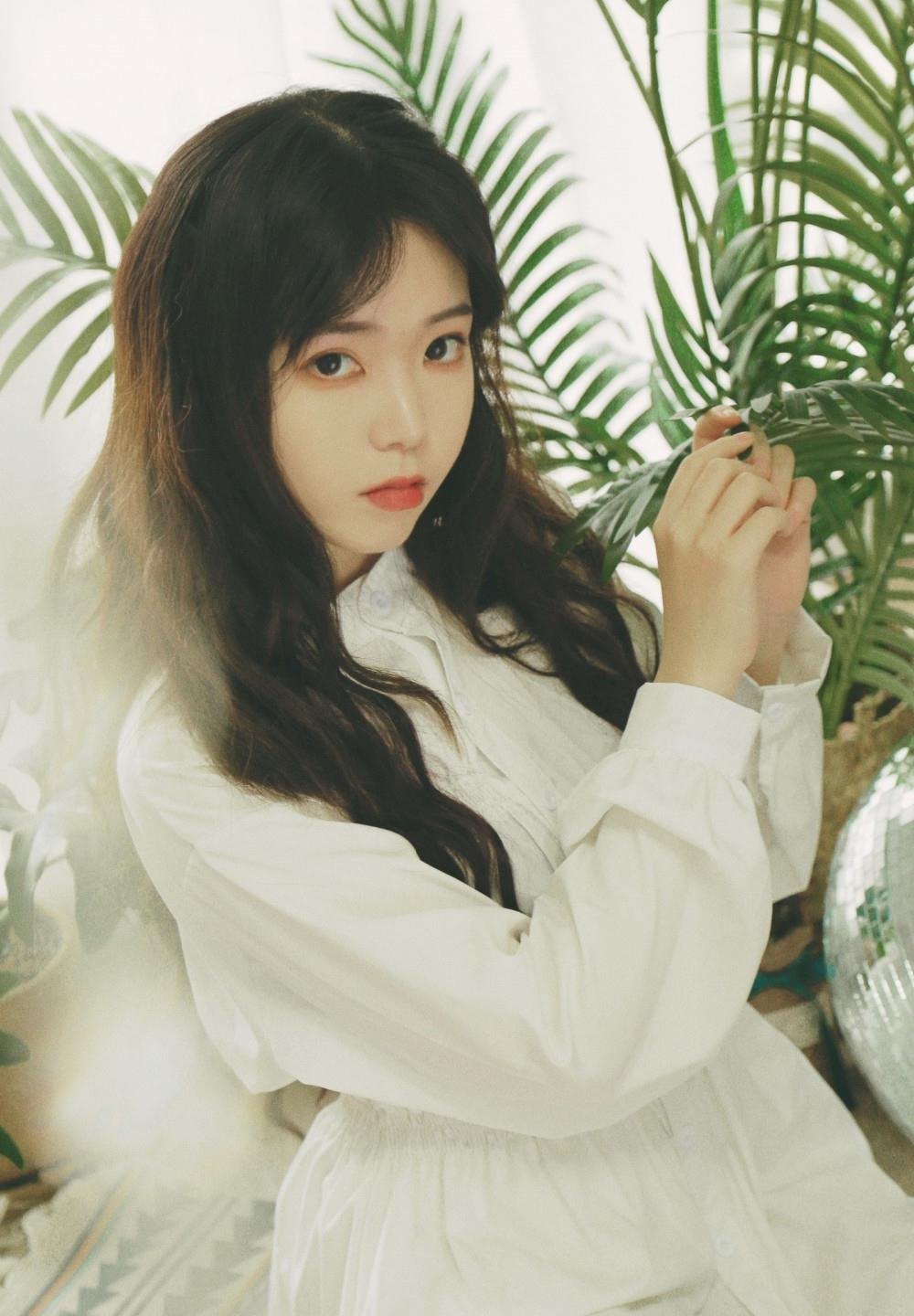 ���ŷ綯̬��ֽ