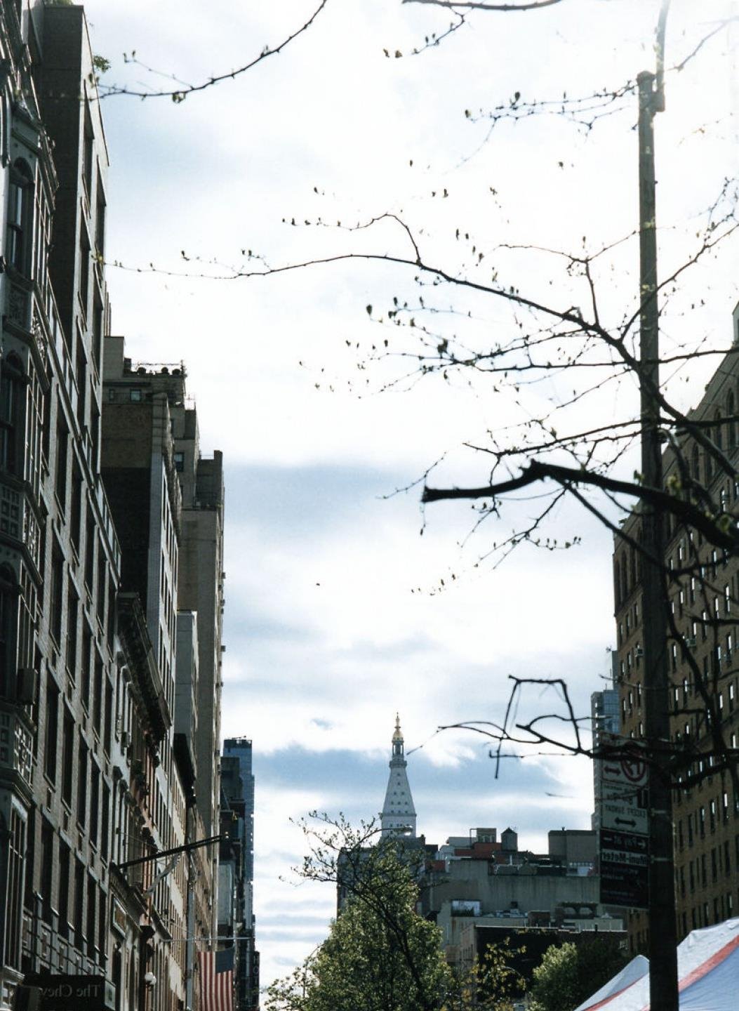 ���ߣ���ɫ�˶�Ա��ɫ��ͷ��